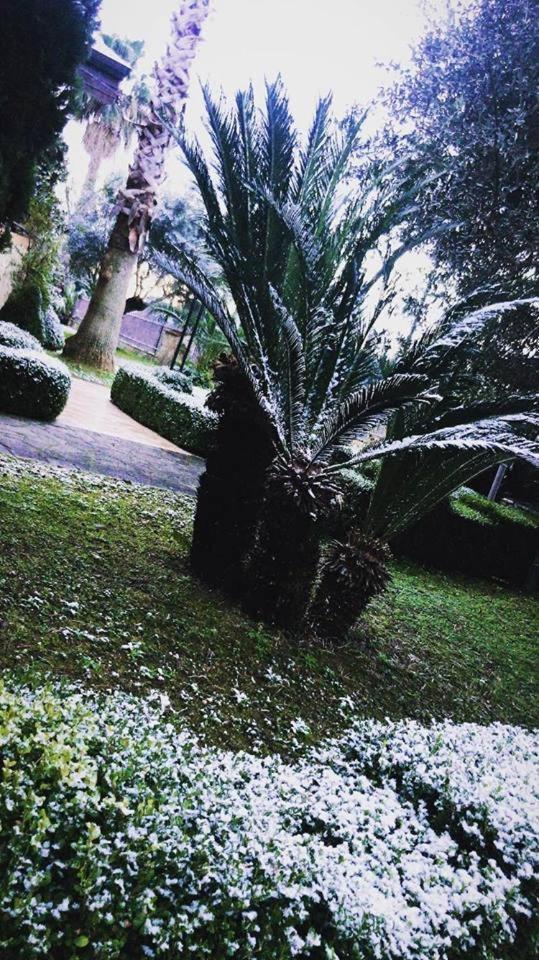Agriturismo Terre Delle Monache Pontecagnano Exteriér fotografie
